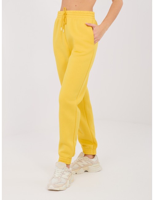 Spodnie dresowe-CLM-DR-1107.98-szary