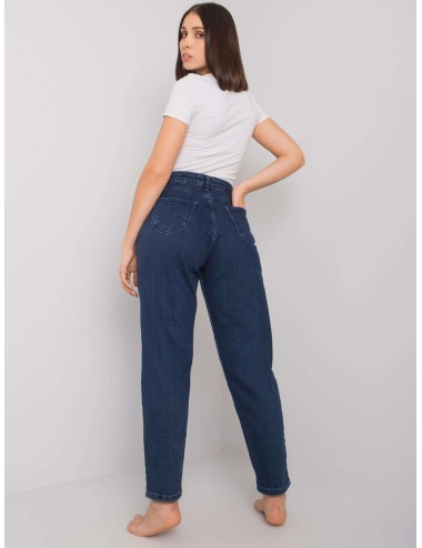 Spodnie jeans-MR-SP-263.65P-ciemny szary